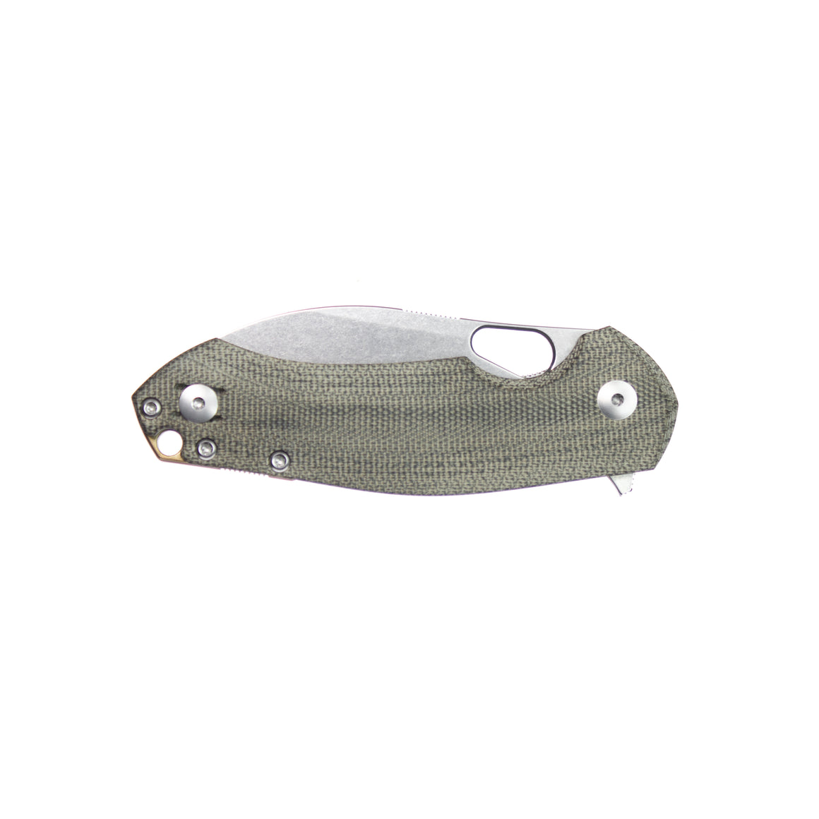 ACE Biblio XL - Green Canvas
