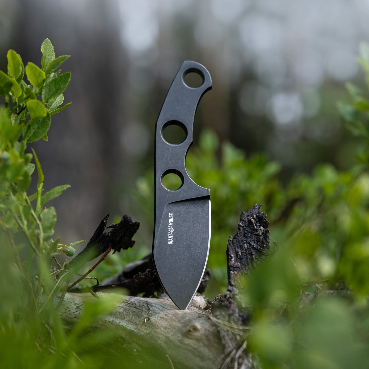 GMF1-F | Fixed Blade Knives Collection | GiantMouse – GMK