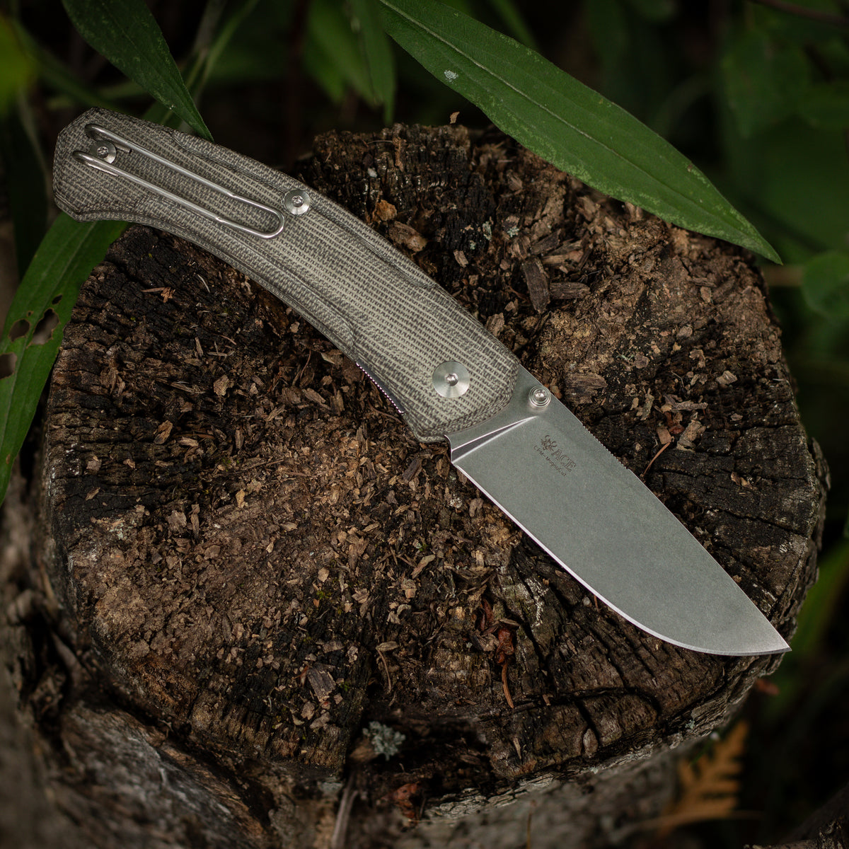 クオリティライフ スティールマウス 美品 オリカラ ローカル ニンナ チェスト ACE Iona V2 - Green Canvas – GMK