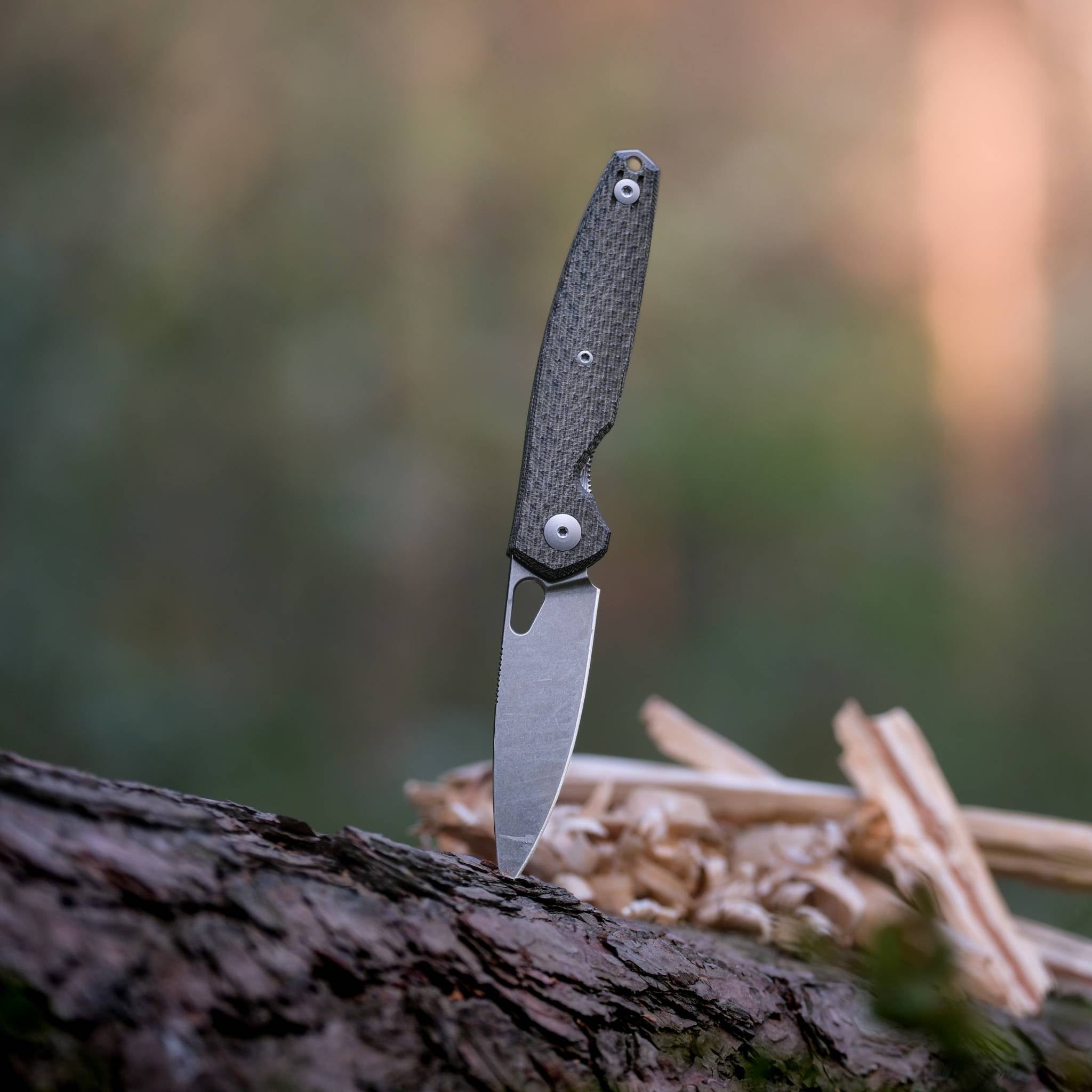 新品　SESSIONS AWESOME REO 150 セッションズ（SESSIONS）（メンズ）スノーボード 板 AWESOME REO