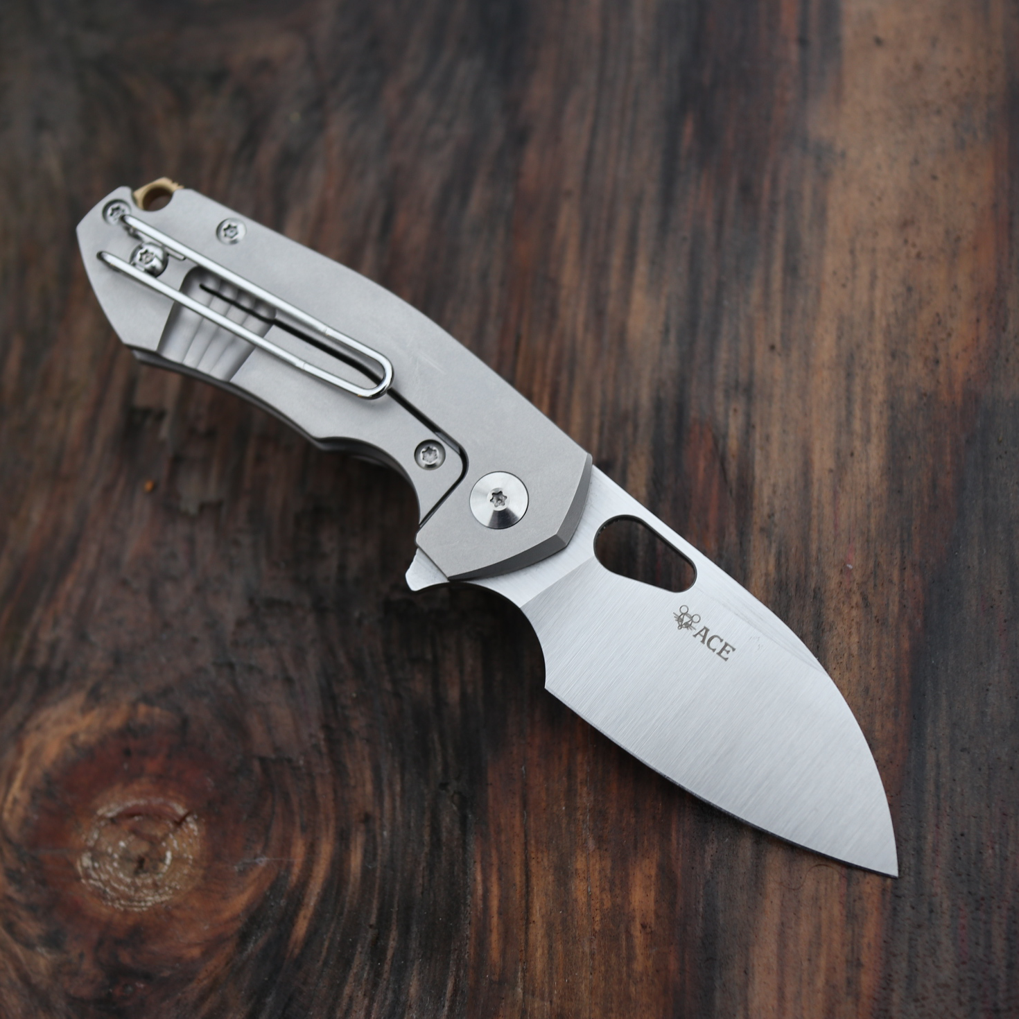 ACE Riv - Titanium