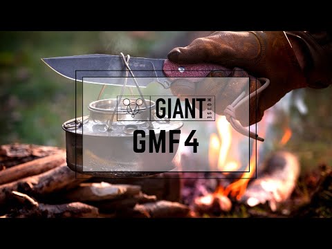 GMF4 - DB